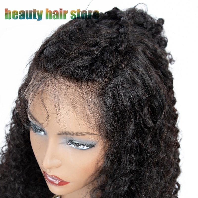 Brazilian Kinky Curly Lace Front Human Hair Wigs - SD & CO.