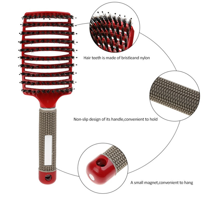 Hairbrush Anti Klit Brushy Haarborstel Women Detangler Hair Brush Bristle Nylon Scalp Massage  Teaser Hair Brush Comb - SD & CO.