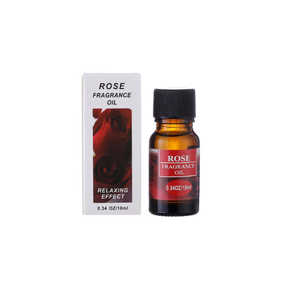 Aromatherapy essential oil humidifier - SD & CO.